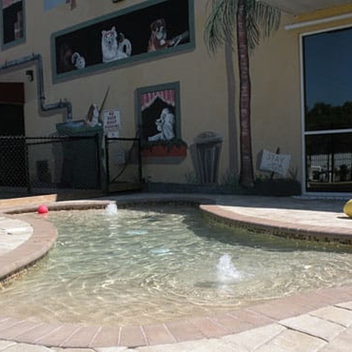 A water play area for dogs to play in